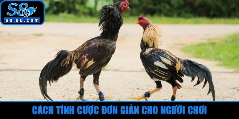 Cách tính cược đơn giản cho người chơi