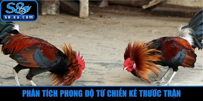 Phân tích phong độ từ chiến kê trước trận